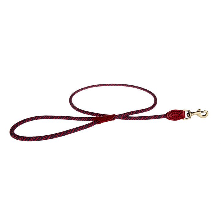 Red Rope Lead | Medium Pets Sophie Allport  Paper Skyscraper Gift Shop Charlotte