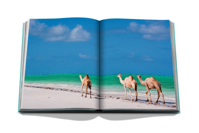 Red Sea | The Saudi Coast by Assouline | Hardcover BOOK Assouline  Paper Skyscraper Gift Shop Charlotte