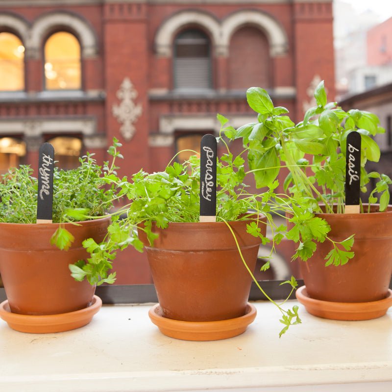 Reusable Garden Markers  Kikkerland  Paper Skyscraper Gift Shop Charlotte