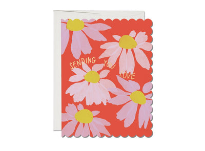 Scalloped Coneflower sympathy greeting card Cards Red Cap Cards  Paper Skyscraper Gift Shop Charlotte