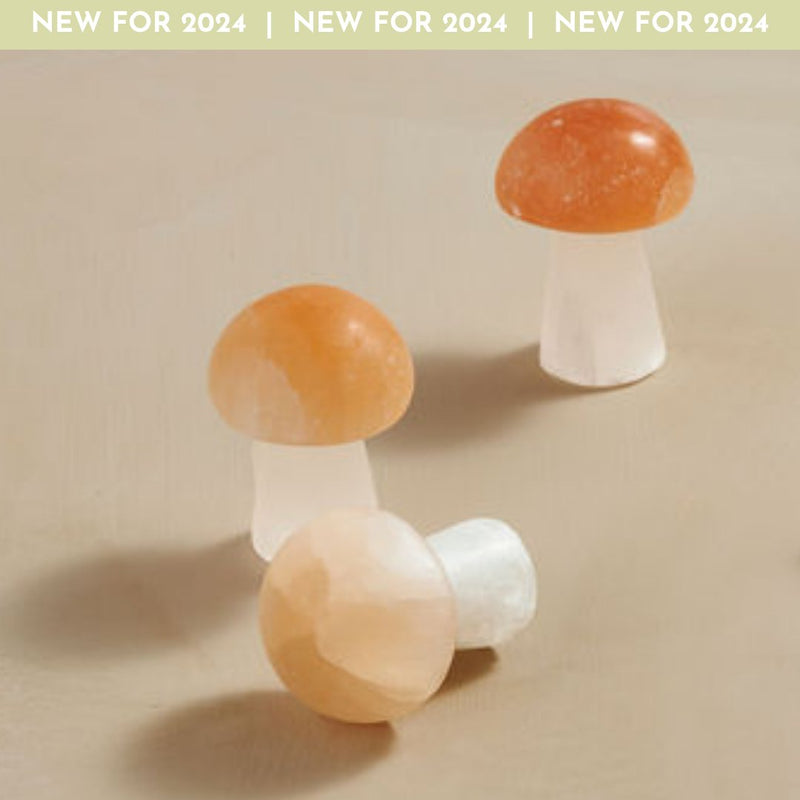 Selenite Mushroom Wellness GeoCentral  Paper Skyscraper Gift Shop Charlotte