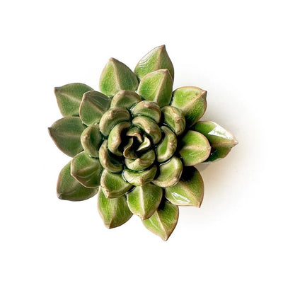 Small Green Ceramic Succulent with Keyhole | Chive Home Decor Chive Paper Skyscraper Gift Shop Charlotte