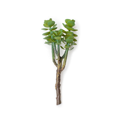 Succulent Stem #3 Home Decor Sugarboo & Co.  Paper Skyscraper Gift Shop Charlotte