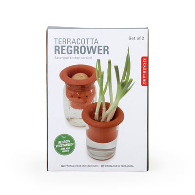 Terracotta Regrower - Set of 2 Garden Kikkerland  Paper Skyscraper Gift Shop Charlotte