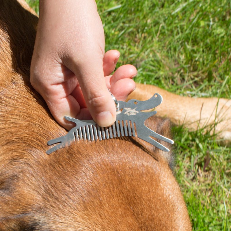 Tick Remover Dog Tool  Kikkerland  Paper Skyscraper Gift Shop Charlotte