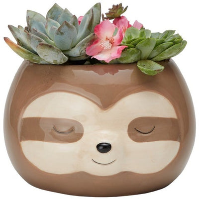 Zen Sloth Planter  Streamline  Paper Skyscraper Gift Shop Charlotte