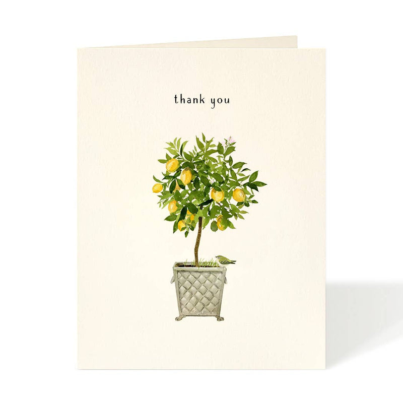 Lemon Topiary - Thank You Card Cards Felix Doolittle  Paper Skyscraper Gift Shop Charlotte