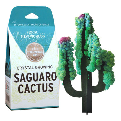 CRYSTAL GROWING SAGUARO CACTUS Kids Learning Copernicus Toys Paper Skyscraper Gift Shop Charlotte