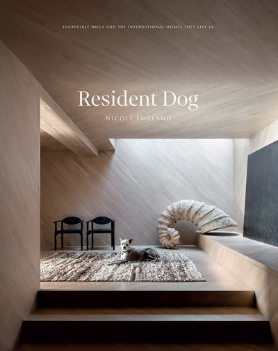 Resident Dog (Volume Two): Incredible Dogs and the International Homes They Live In BOOK Chronicle  Paper Skyscraper Gift Shop Charlotte