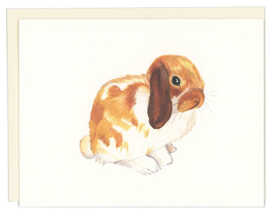 Bunny Greeting Card Cards Good Postage  Paper Skyscraper Gift Shop Charlotte